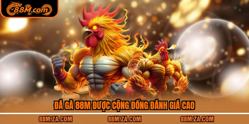 Đá gà 88M được cộng đồng đánh giá cao
